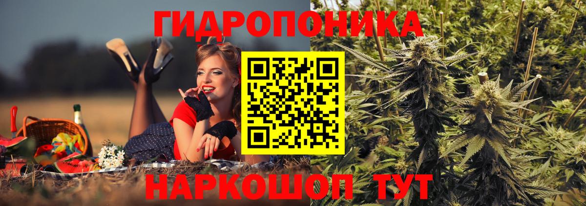 Канабис THC 21%  Бошки Шишки тримм  Вход с VPN  Михайловка 